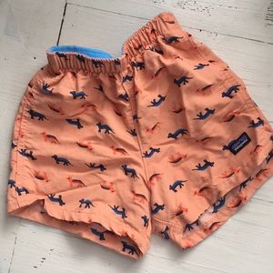 Patagonia Swim Trunks